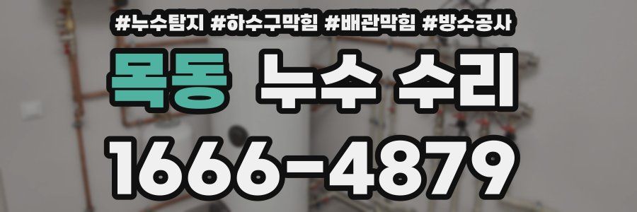 목동 누수 수리
