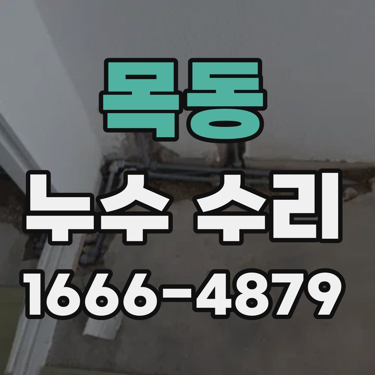 목동 누수 수리