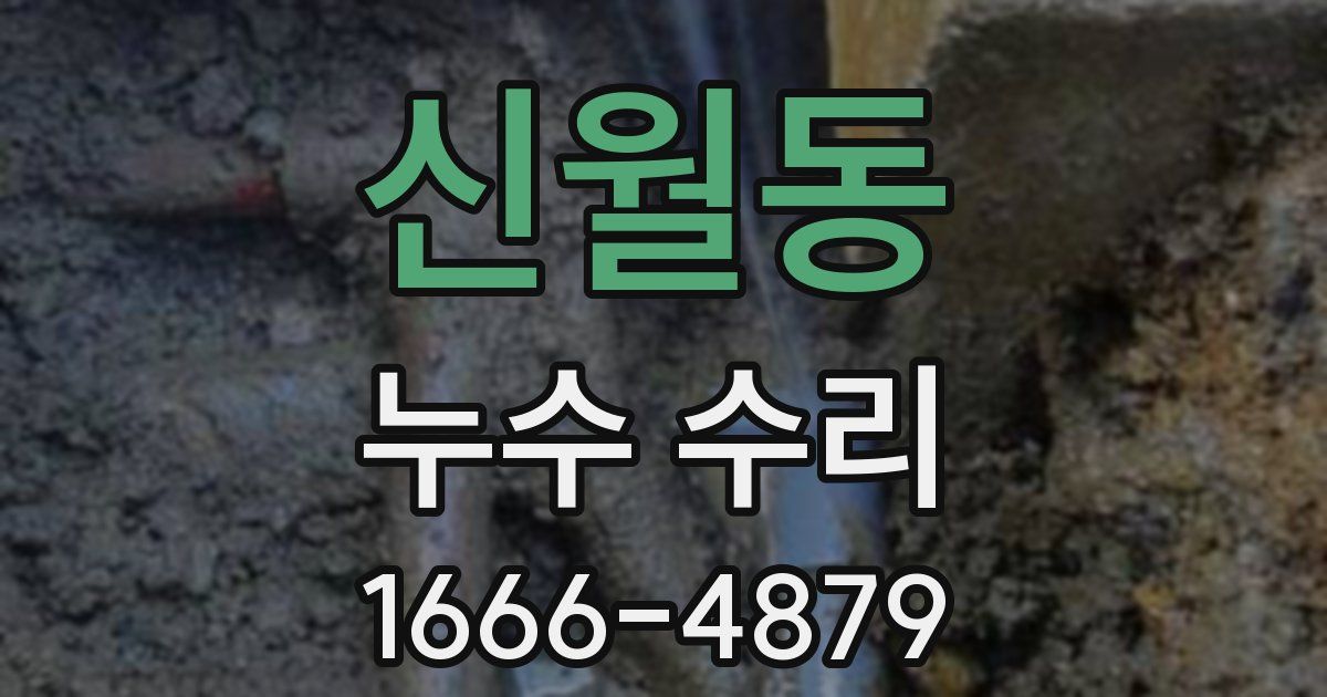 신월동 누수 수리