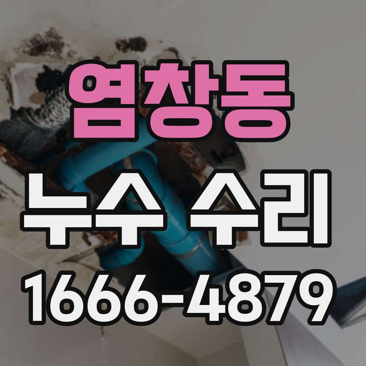 염창동 누수 수리