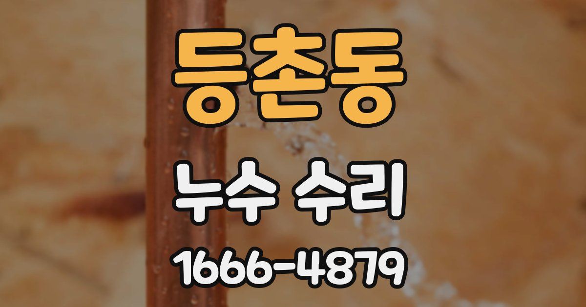 등촌동 누수 수리