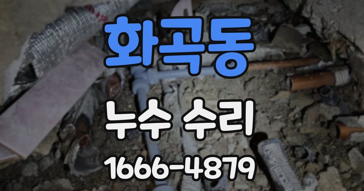 화곡동 누수 수리