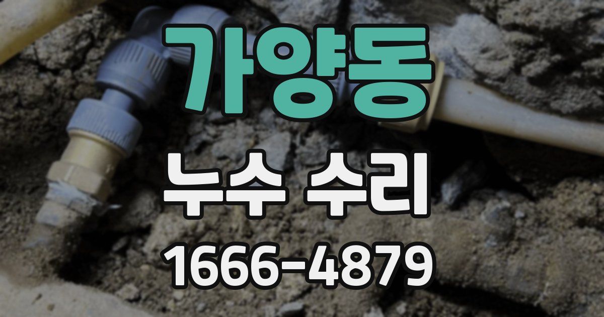 가양동 누수 수리