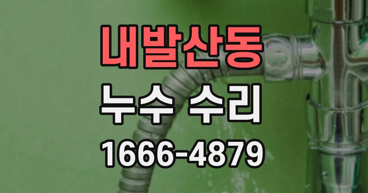 내발산동 누수 수리