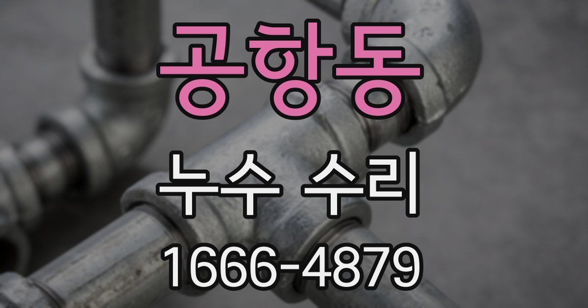공항동 누수 수리
