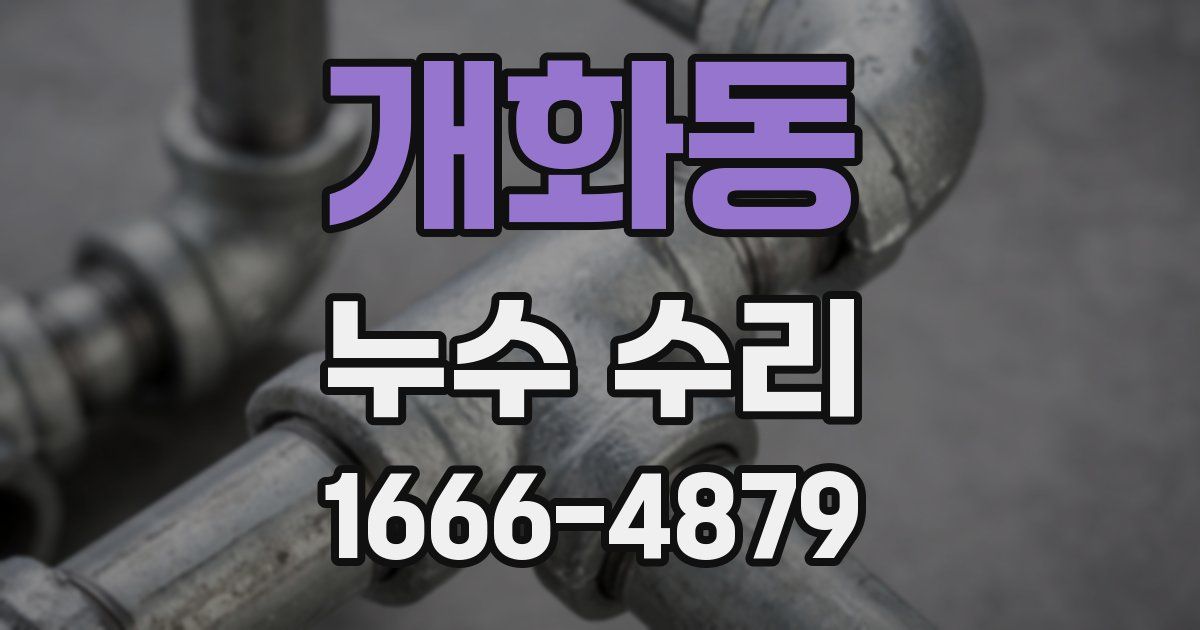 개화동 누수 수리