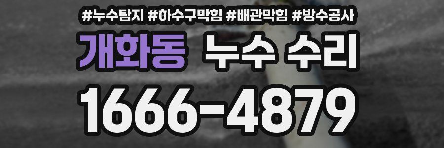 개화동 누수 수리