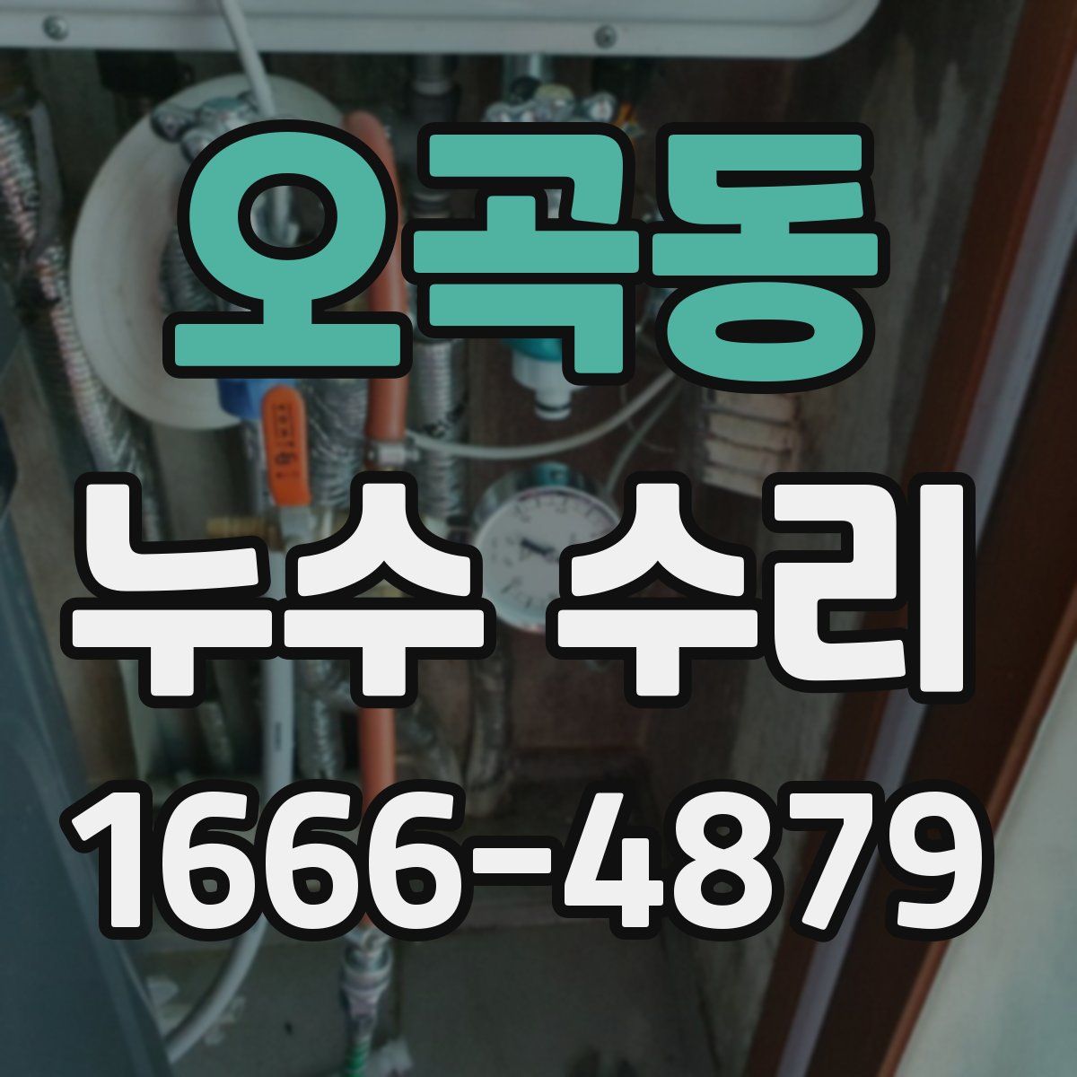 오곡동 누수 수리