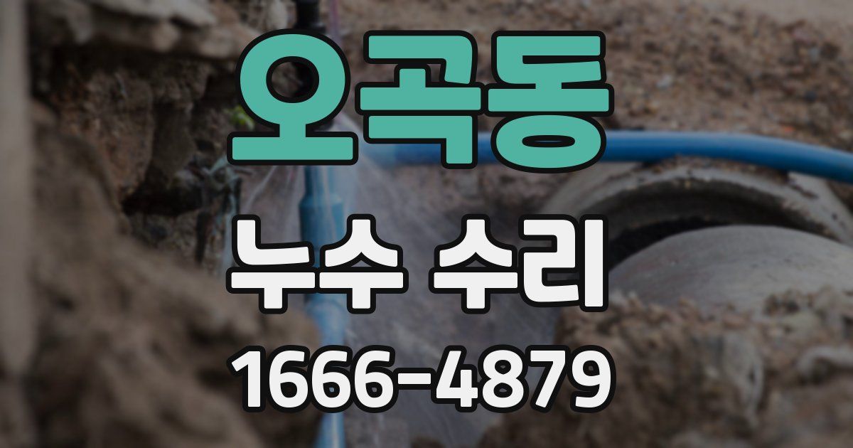 오곡동 누수 수리