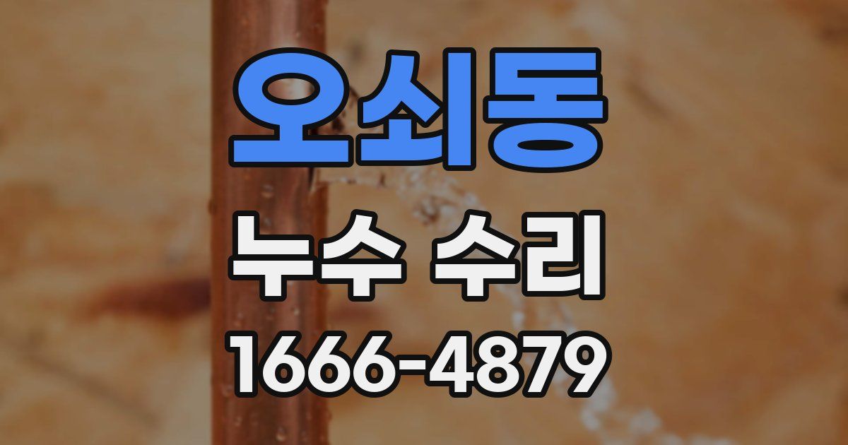 오쇠동 누수 수리
