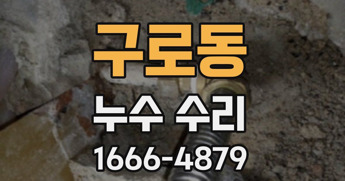 구로동 누수 수리