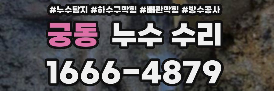 궁동 누수 수리