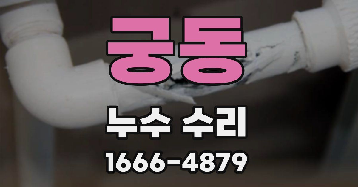 궁동 누수 수리