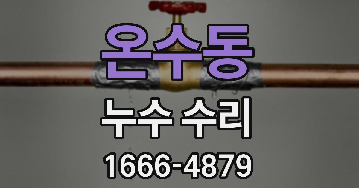 온수동 누수 수리