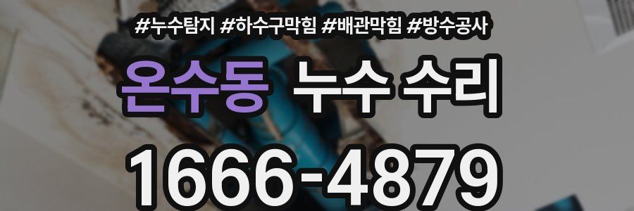 온수동 누수 수리