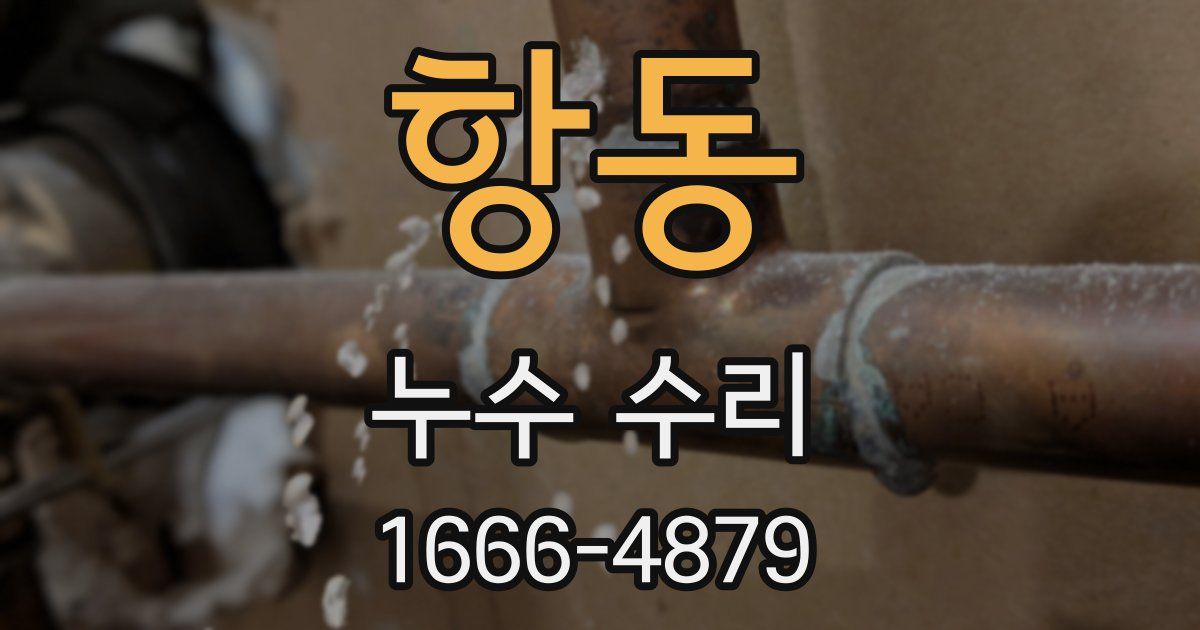 항동 누수 수리