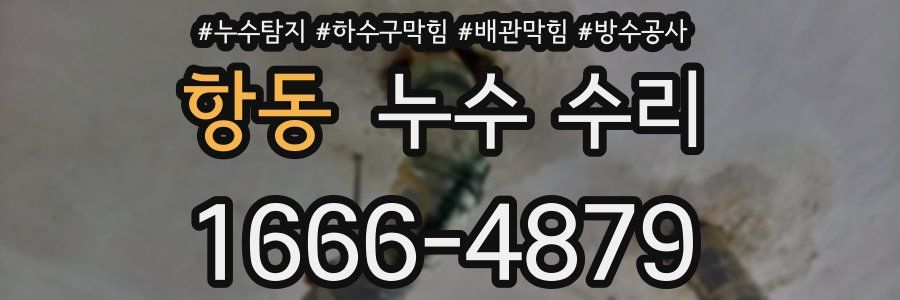 항동 누수 수리