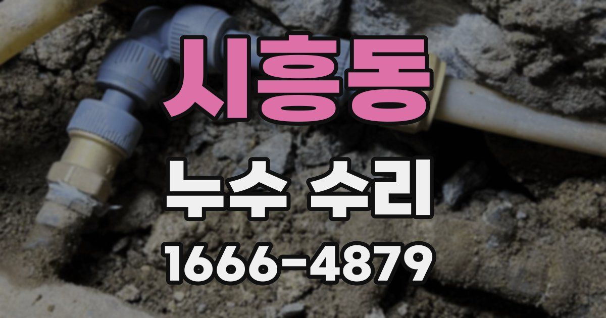 시흥동 누수 수리