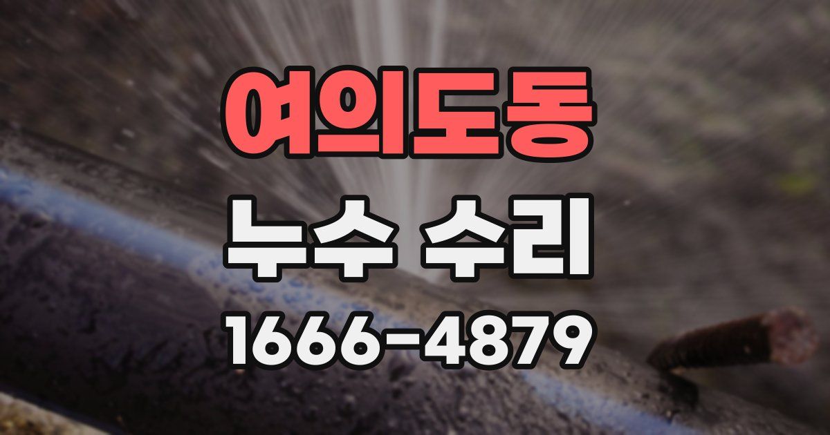 여의도동 누수 수리