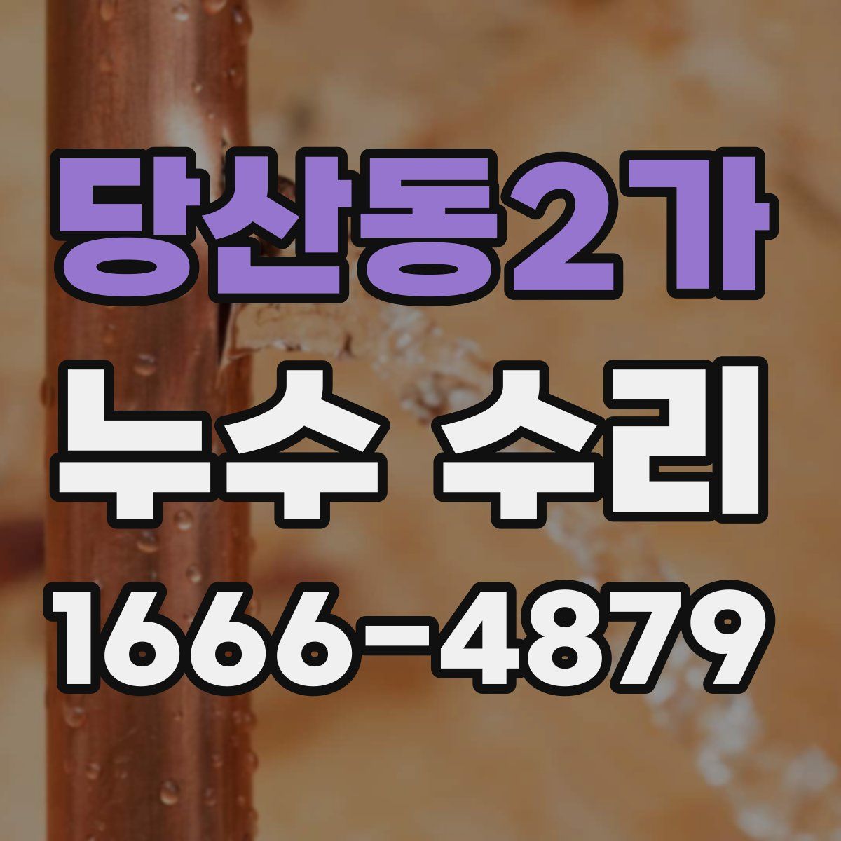 당산동2가 누수 수리
