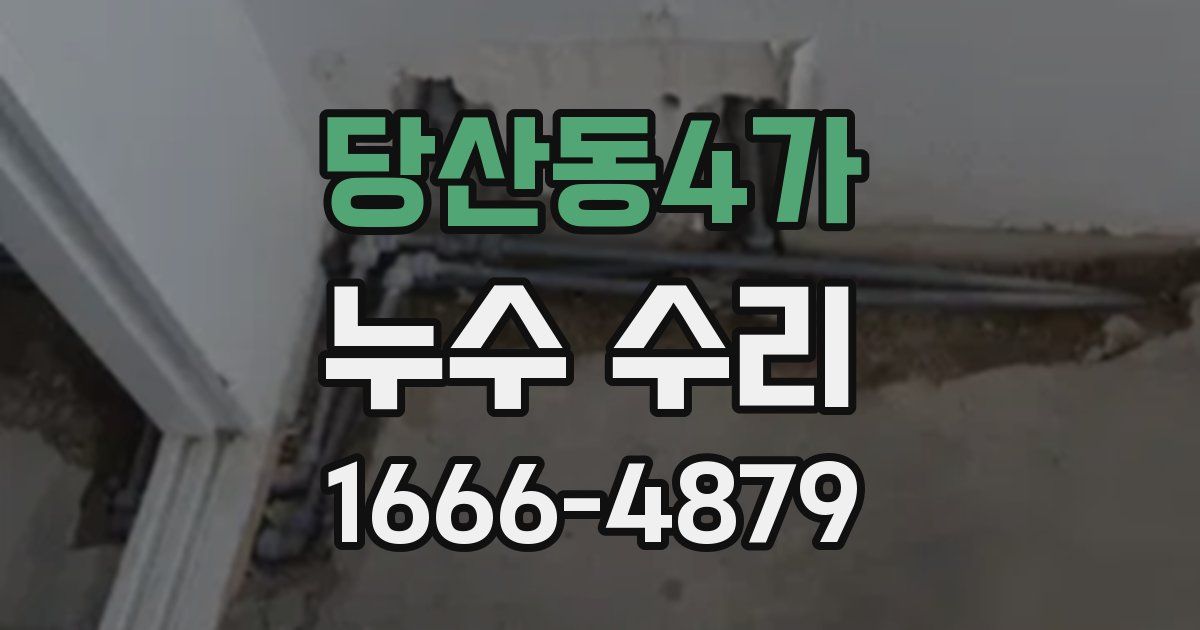 당산동4가 누수 수리