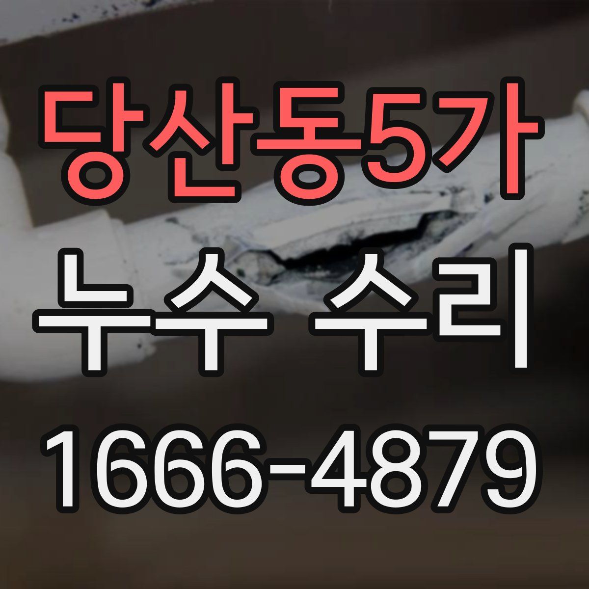 당산동5가 누수 수리