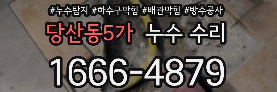 당산동5가 누수 수리