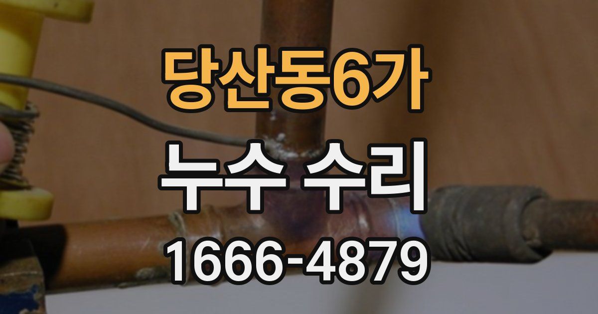 당산동6가 누수 수리