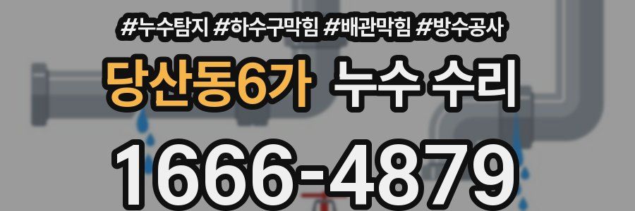 당산동6가 누수 수리