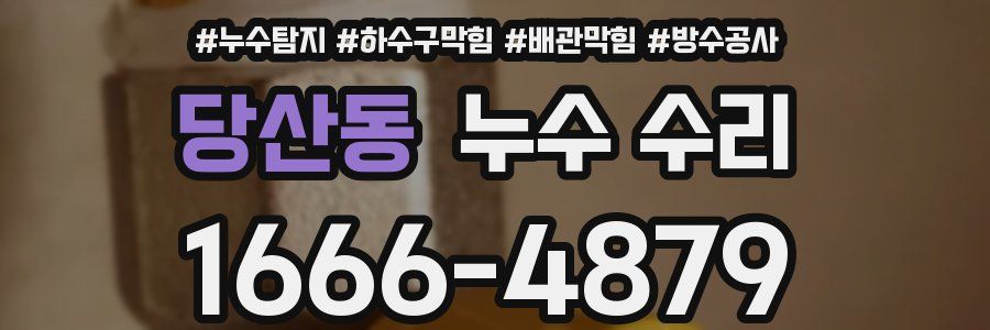 당산동 누수 수리