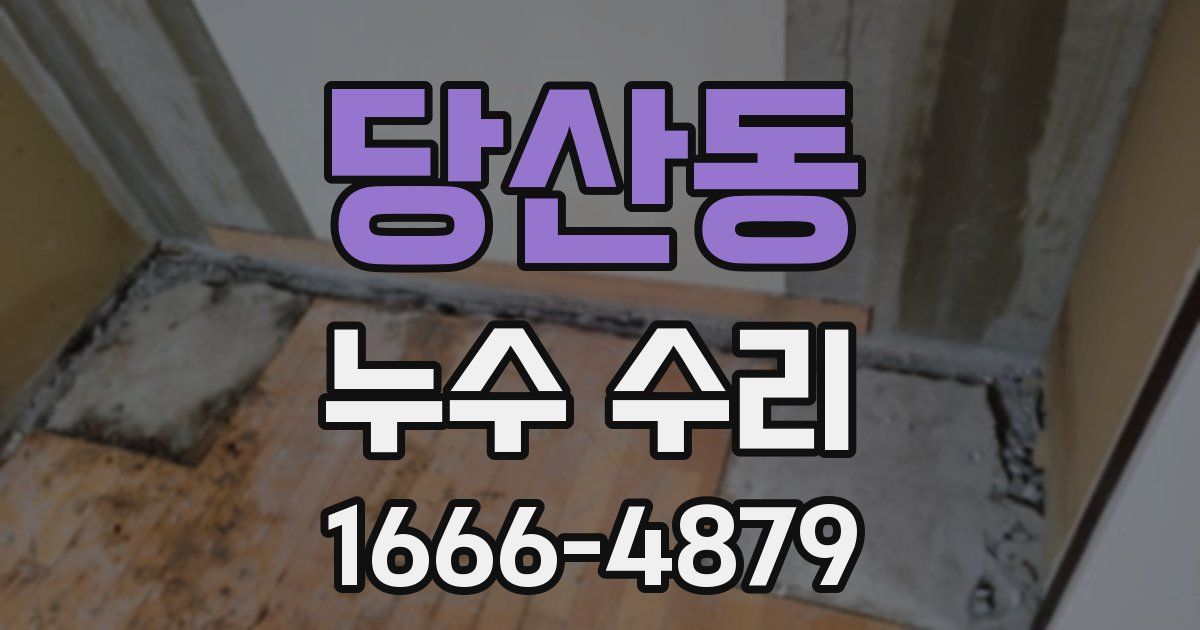 당산동 누수 수리