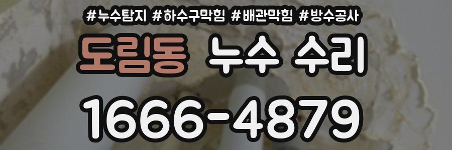 도림동 누수 수리