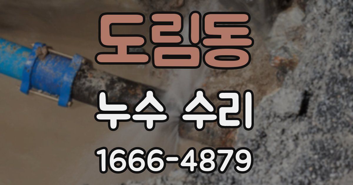 도림동 누수 수리