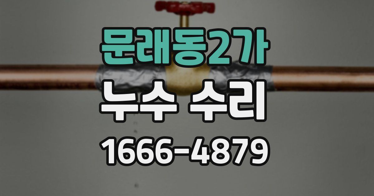 문래동2가 누수 수리