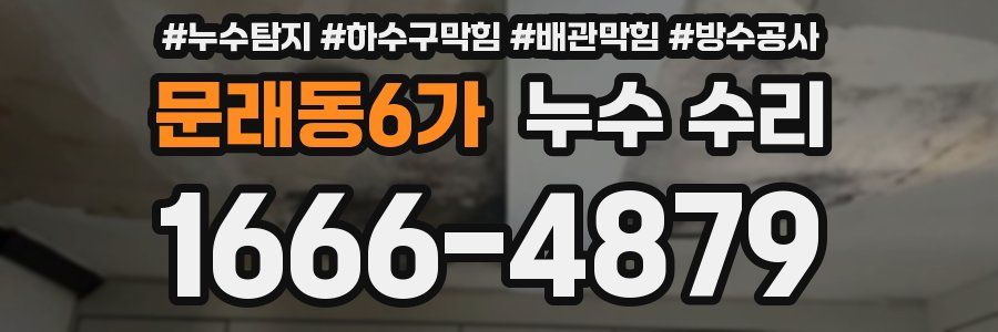 문래동6가 누수 수리