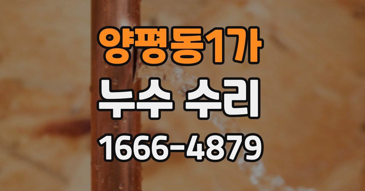 양평동1가 누수 수리