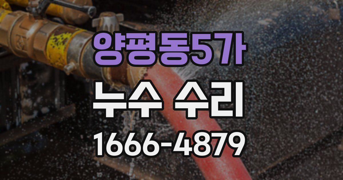양평동5가 누수 수리