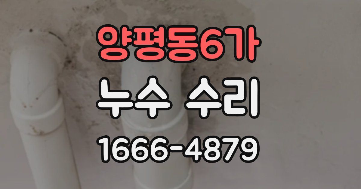 양평동6가 누수 수리