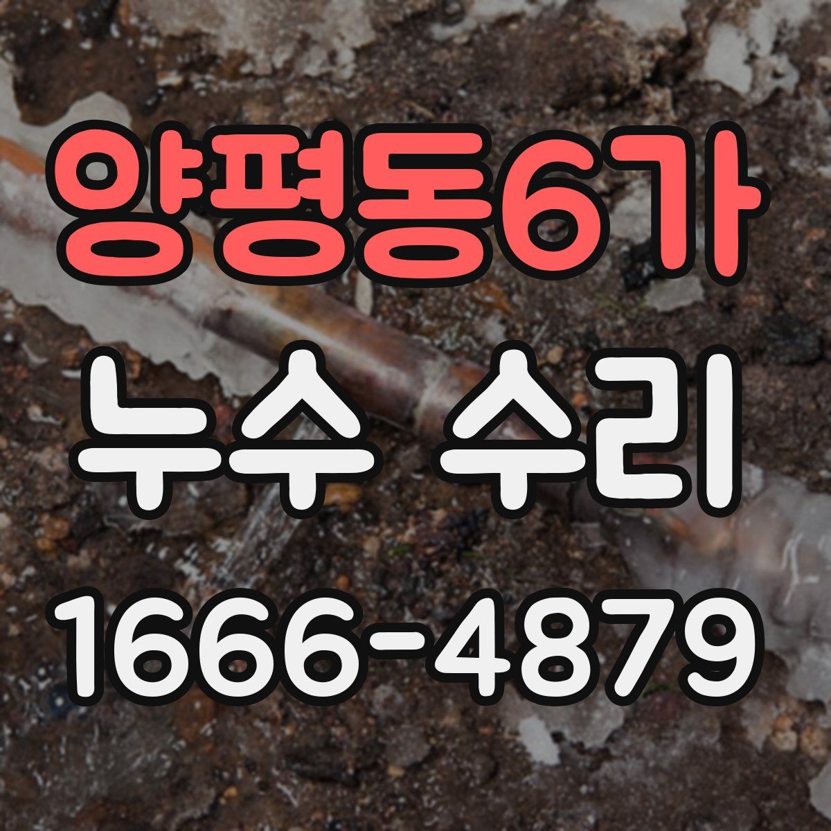 양평동6가 누수 수리