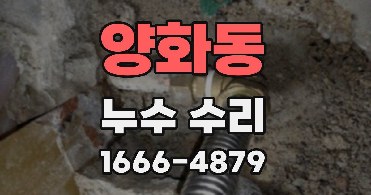 양화동 누수 수리