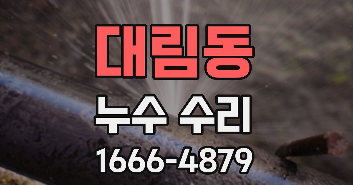 대림동 누수 수리
