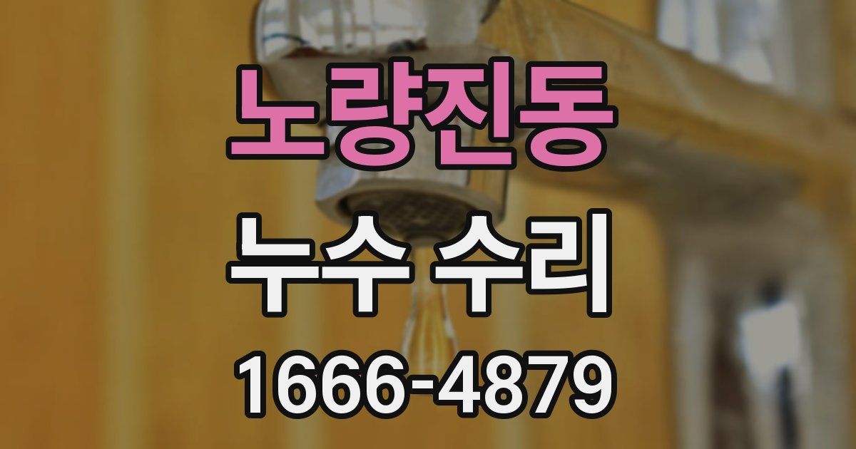 노량진동 누수 수리