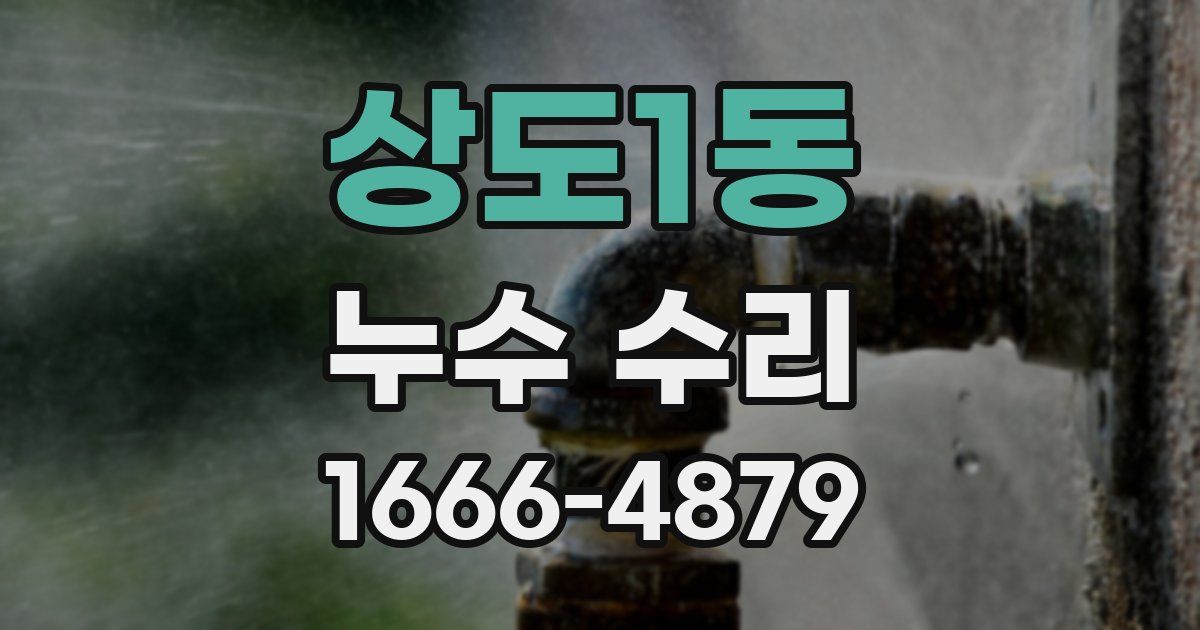 상도1동 누수 수리