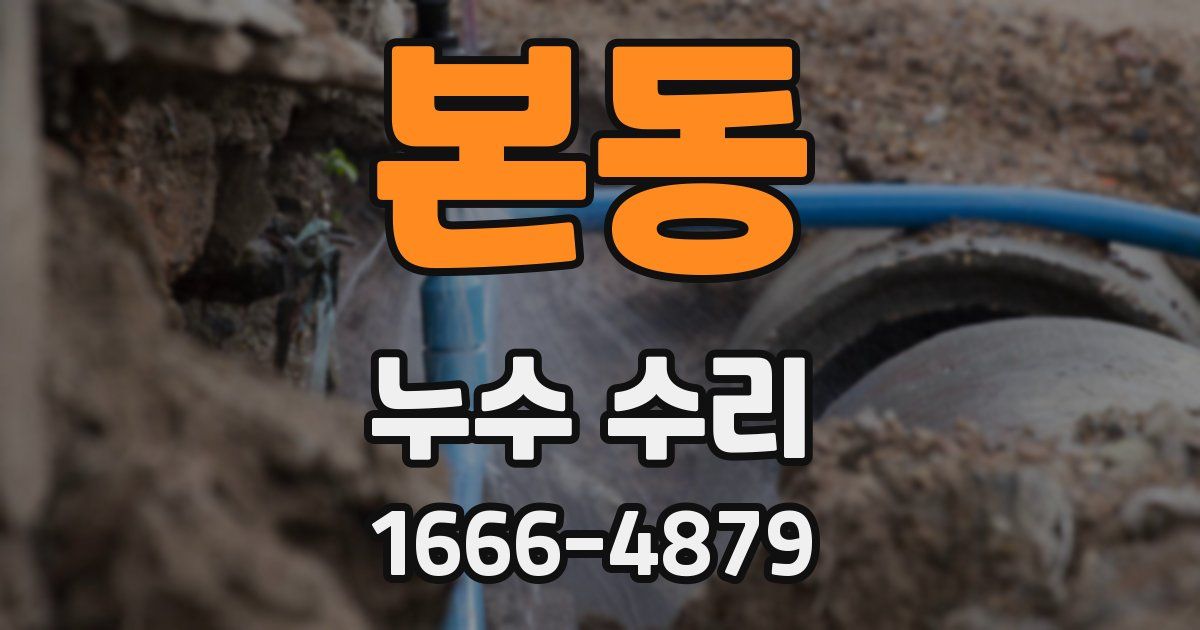 본동 누수 수리