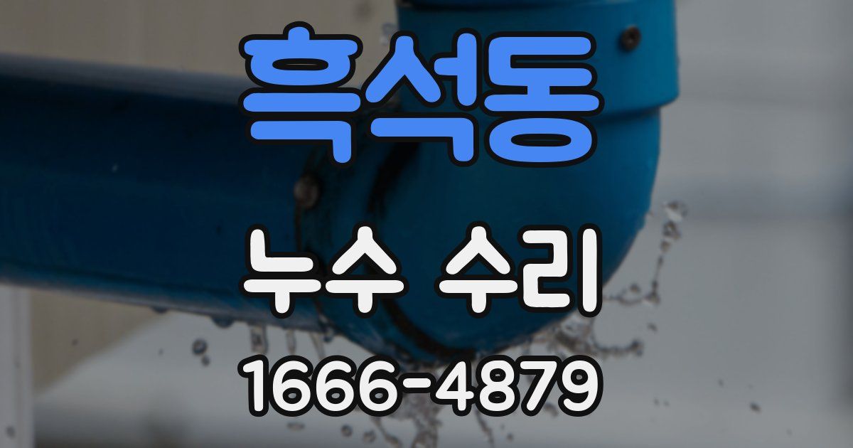 흑석동 누수 수리