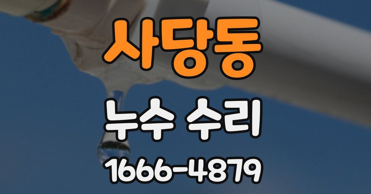 사당동 누수 수리