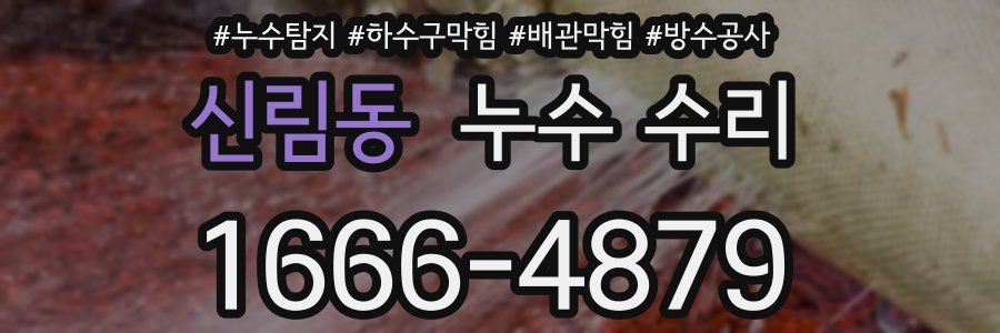 신림동 누수 수리