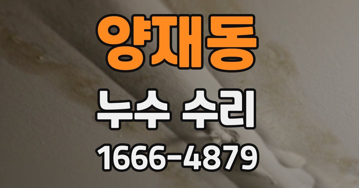양재동 누수 수리