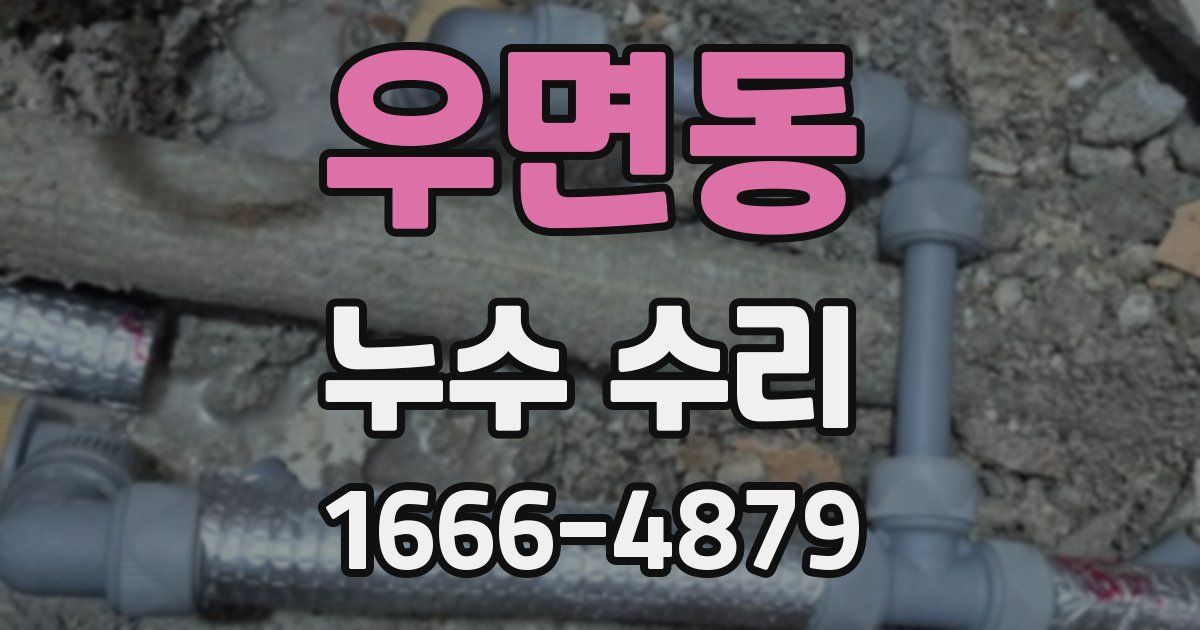 우면동 누수 수리