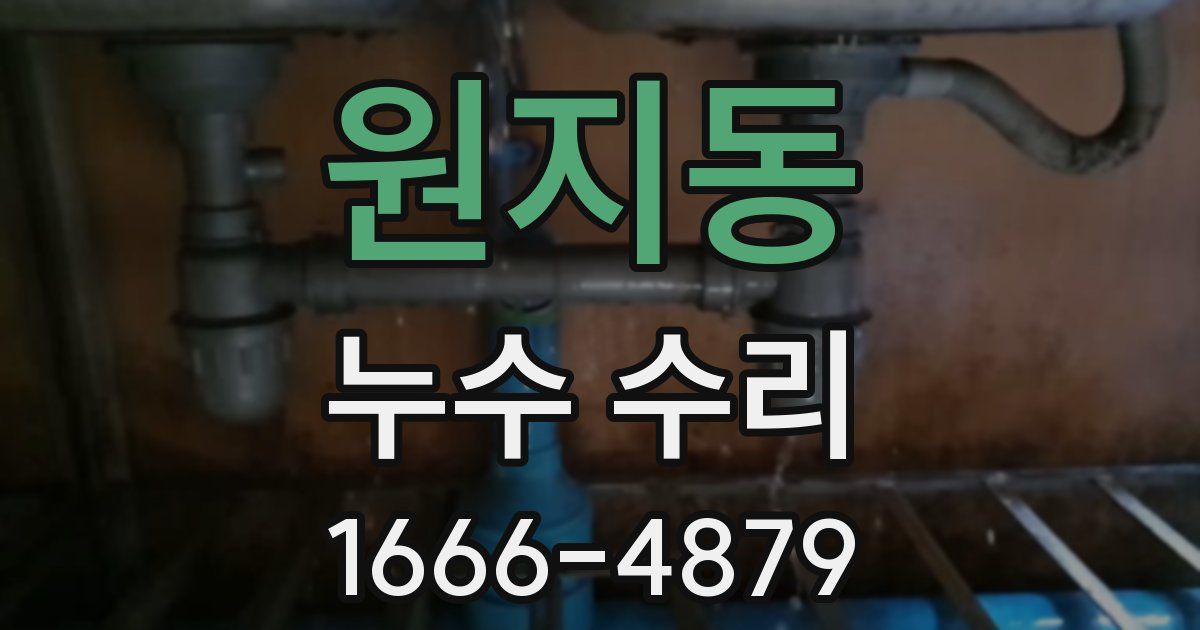 원지동 누수 수리